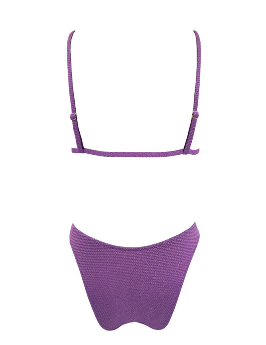 Classic berry Triangle Bikini