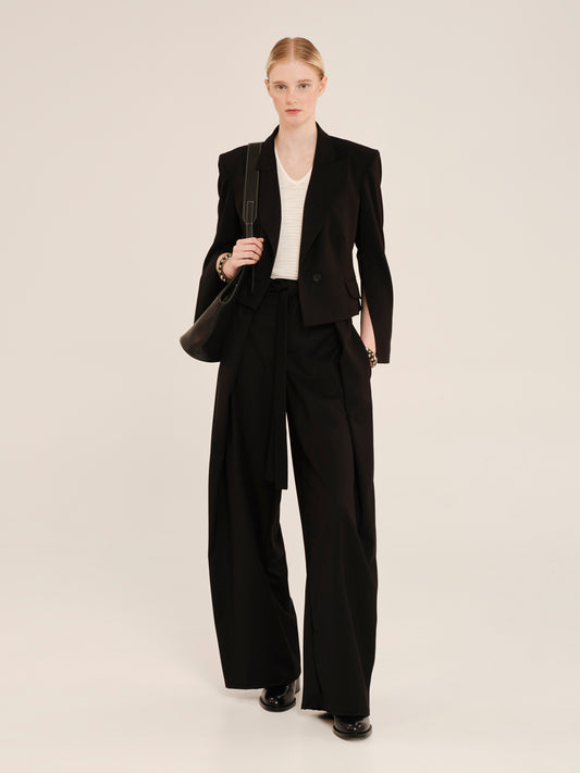 Sartoreality Trousers With Pleats