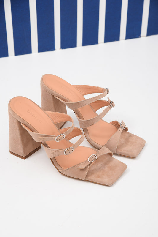 Holiday Shoes