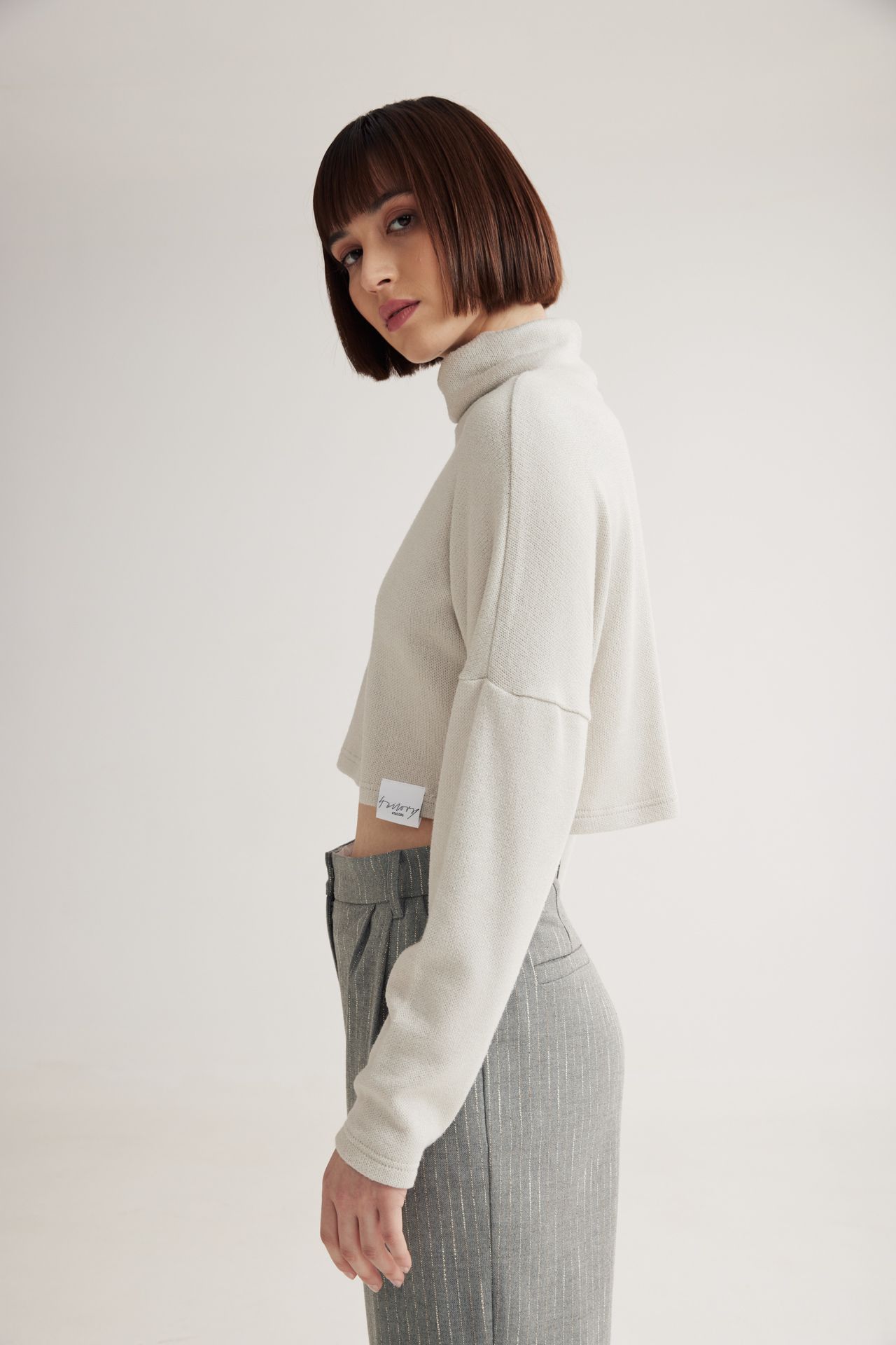 Bennet Crop Turtleneck Top