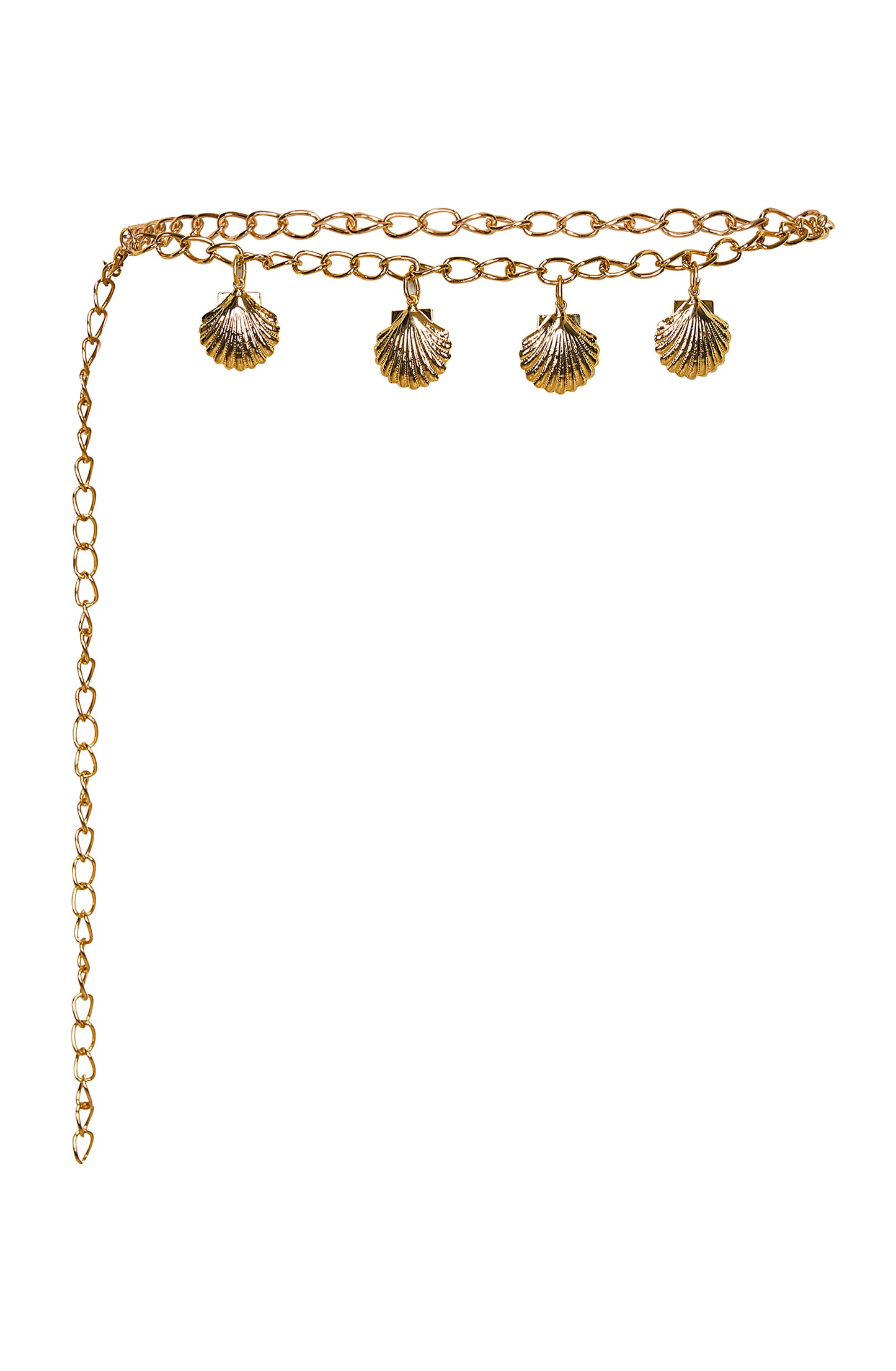 Shell Belt